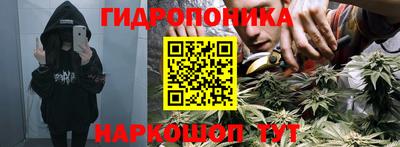стаф Волжск