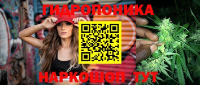 стаф Волжск