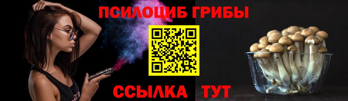Муром  Галлюциногенные грибы прущие грибы  Вход с VPN 